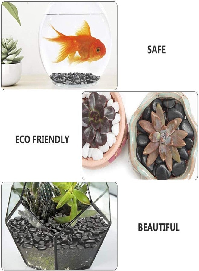 Schmick Black Pebbles for Decoration - Pebbles for Plants Pots - Pebbles for Garden, Fish Tank Aquarium, Table, Vase Fillers (2.9 Kg, Black Stones) - Image 3